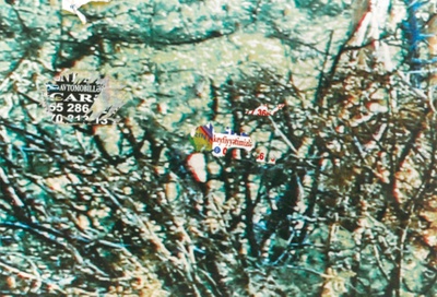 "We Apologize for the Temporary Inconvenience", 2018