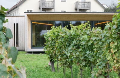 Wellnessgebäude AdVineas, Mautern (NÖ), 2015