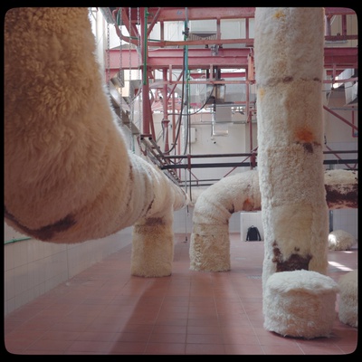 ORTE Filmvorfuehrung_ Beyond Eternity_Filmstill Installation by Adrian Pepe in an Old Slaughterhouse