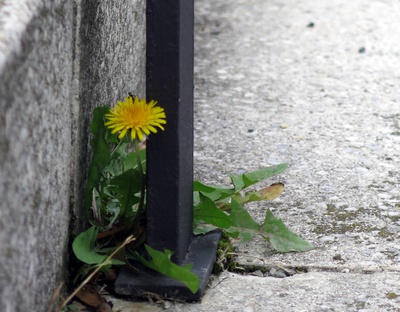 ORTE escape tour stpoelten – © heidrun schloegl ORTE escape tour stpoelten