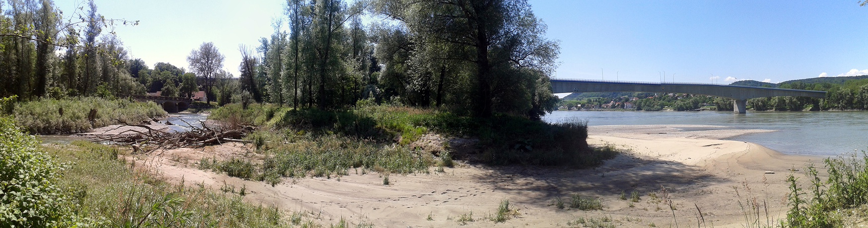 LIFE+ Projekt Mostviertel- Wachau – Neophyten-Management und Besucherlenkungskonzept, 2015 – © land.schafft LIFE+ Projekt Mostviertel- Wachau – Neophyten-Management und Besucherlenkungskonzept, 2015