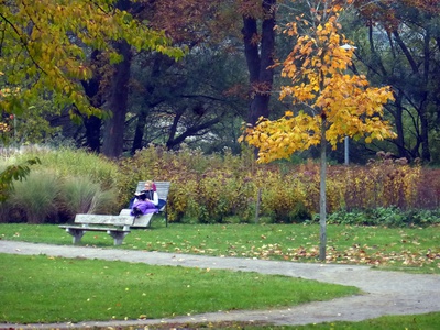 prater.lounge – Stadt St.Pölten, 2012