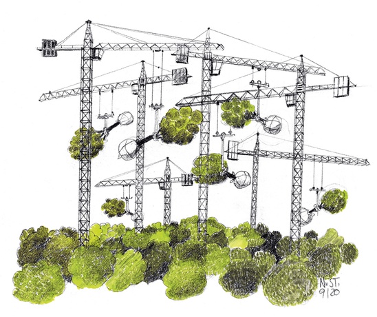 Illustration von Norbert Steiner