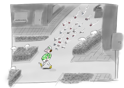 Jasmin Nölling, Hawaiihemd, 2022, digitale Zeichnung – © Jasmin Nölling Jasmin Nölling, Hawaiihemd, 2022, digitale Zeichnung