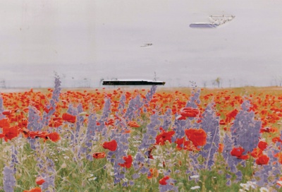 "We Apologize for the Temporary Inconvenience", 2018