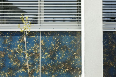 Rathaus Prinzersdorf Fassade